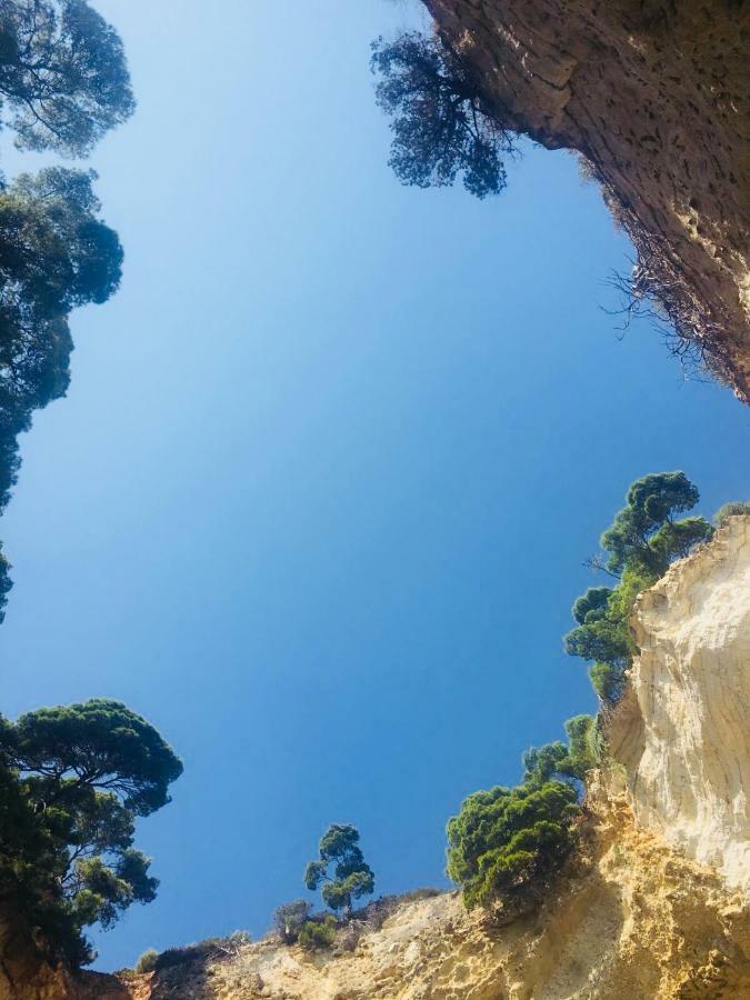 Vila Casa Michela Vico Del Gargano Exteriér fotografie
